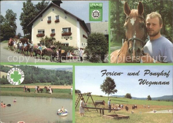Waldershof Ferienhof Ponyhof Wegmann Pferd Kinders