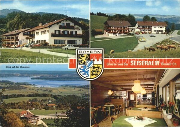 Seiseralm Chiemgau Blick auf den Chiemsee Kühe Wappen