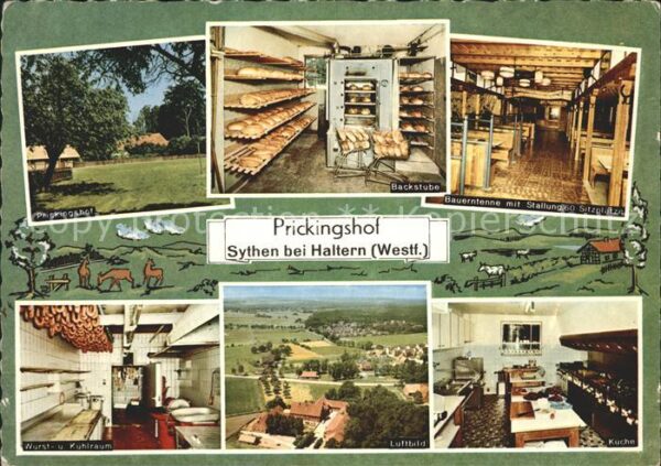 Sythen Prickingshof Westfälischer EWG Musterho