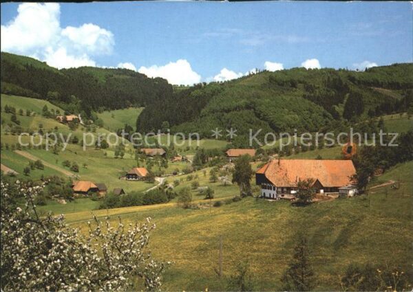 Oberentersbach Bauernhöfe Schwarzwald