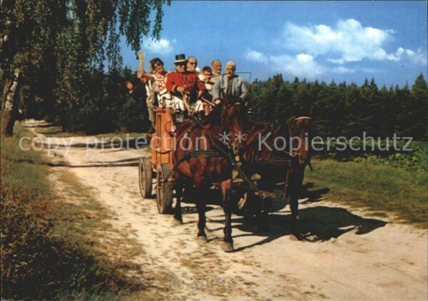 Undeloh Postkutsche Lüneburger Heide