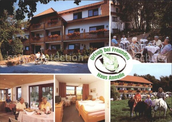 Bad Holzhausen Luebbecke Pension Haus Annelie Garten Gastraum Zi