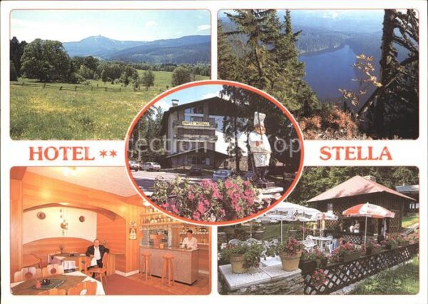 Zelezna Ruda Markt Eisenstein Hotel Stella Landschaftsmotiv See Gastr