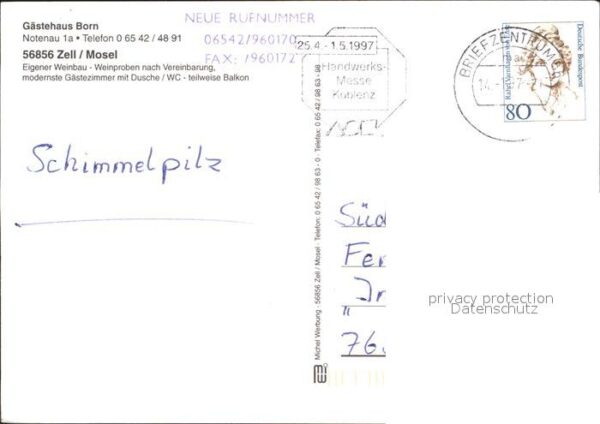 Zell Mosel Gästehaus Born – Bild 2