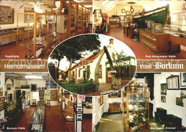 Borkum Heimatmuseum Vogelhalle Walfänger Zimme