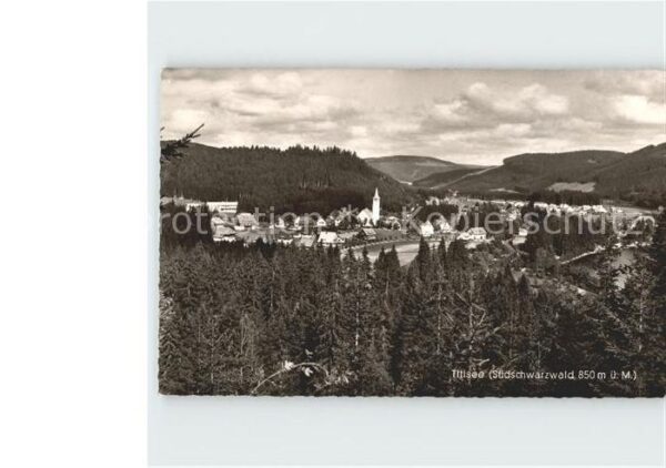 Titisee Blick auf Titisee