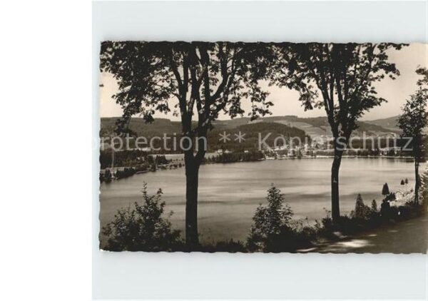 Titisee Titisee
