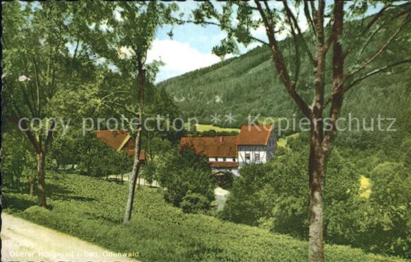 Waldbrunn Odenwald Oberer Höllgrund