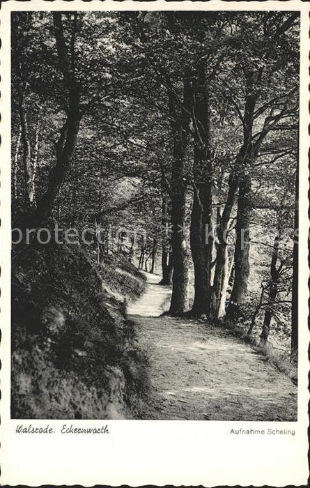 Walsrode Lueneburger Heide Eckernworth