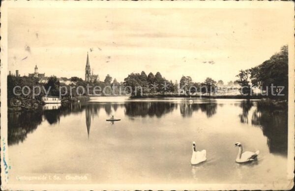 Geringswalde Schwanenteich