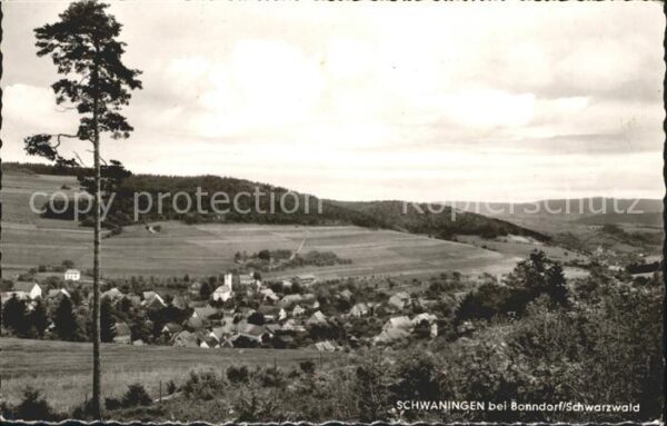 Schwaningen