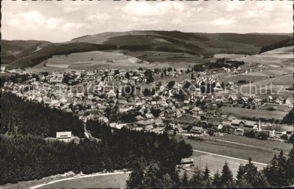 Neustadt Titisee Panorama