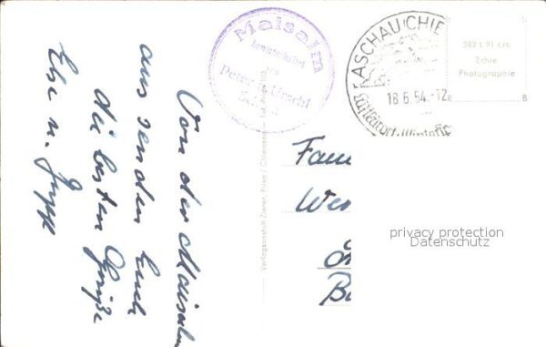 Aschau Chiemgau Maisalm Kühe – Bild 2