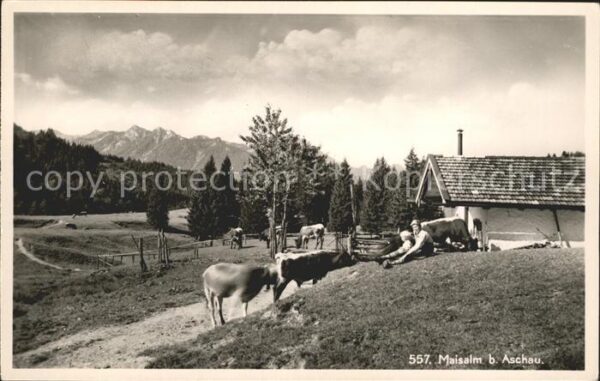 Aschau Chiemgau Maisalm