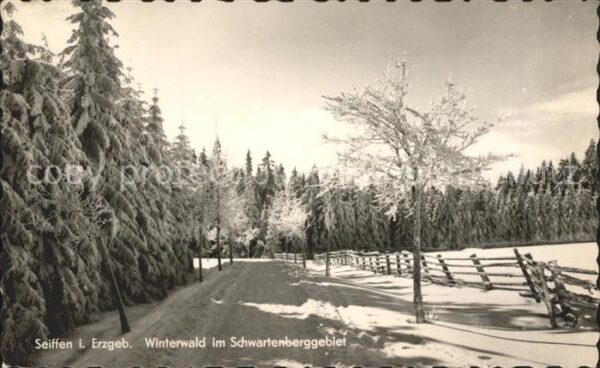 Seiffen Erzgebirge Winterwald im Schwartenberggebiet