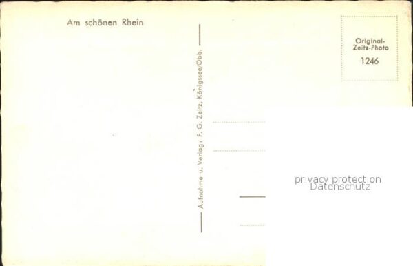Koblenz Rhein St Castorkirche – Bild 2