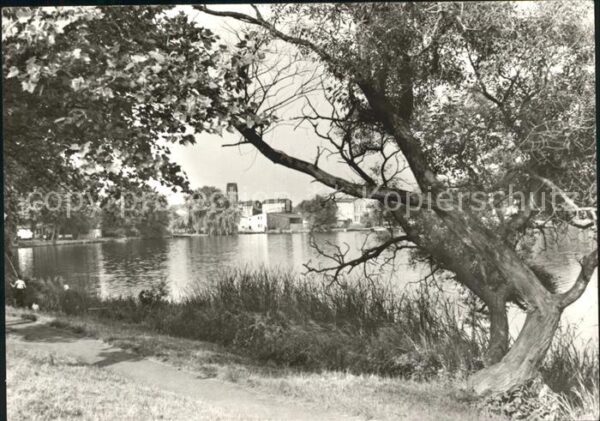 Parchim Mecklenburg-Vorpommern Wackerseepartie