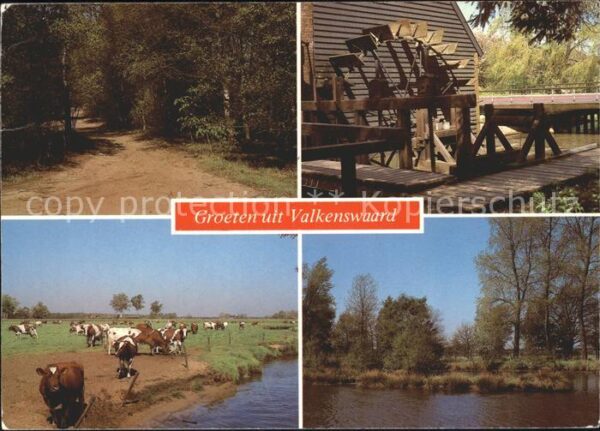 Valkenswaard Kühe Wasserrad
