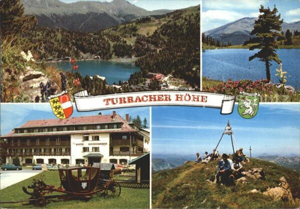 Turracher Hoehe Eisenhut
