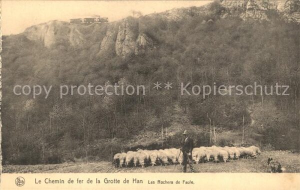 Hirte Schafe Chemin de fer Grotte de Han Roch