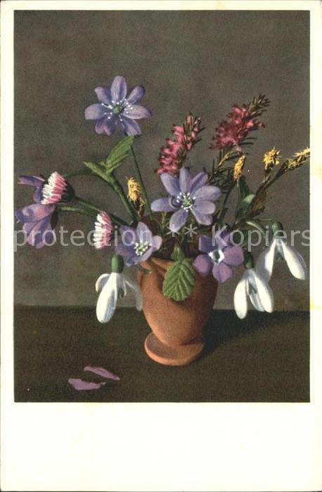 Blumen Leberblümchen Schneeglöckchen