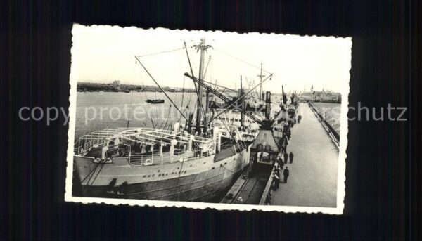 Motorschiffe MS Mar del Plata Antwerpen