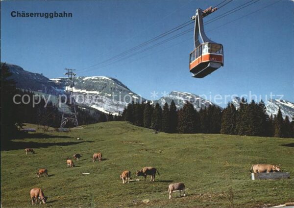 Seilbahn Chäserrugg Unterwasser Iltios Churfirst