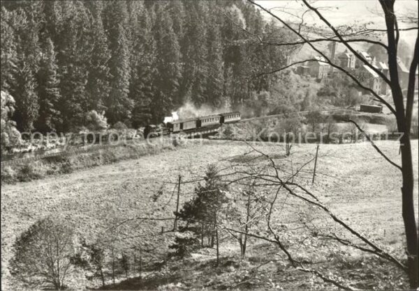 Eisenbahn Schmalspurbahn Wolkenstein-Jöhstadt