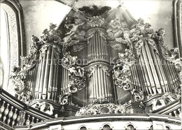 Kirchenorgel Katharinenkirche Brandenburg