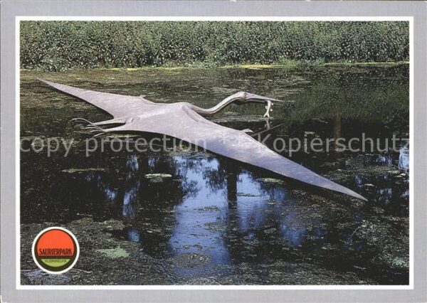 Dinosaurier Quetzalcoatlus Saurierpark Kleinwelka