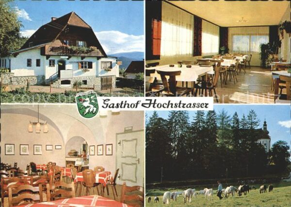 Koeflach Gasthof Hochstrasser Pferd