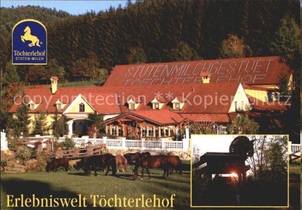Feistritz Anger Töchterlehof Pferd