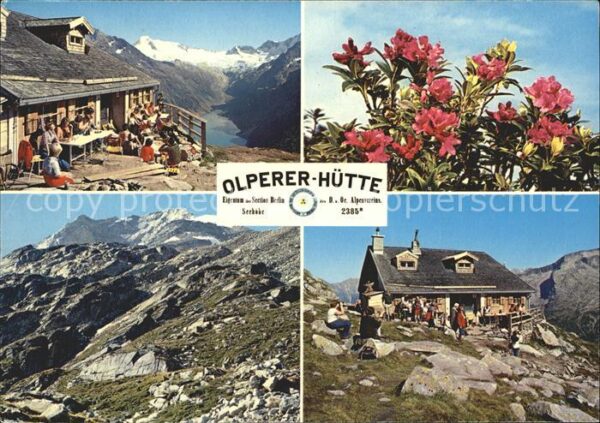 Olpererhuette Blume