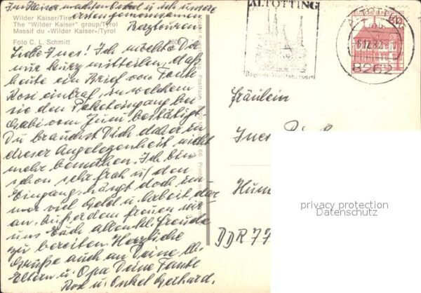 Wilder Kaiser Alm – Bild 2