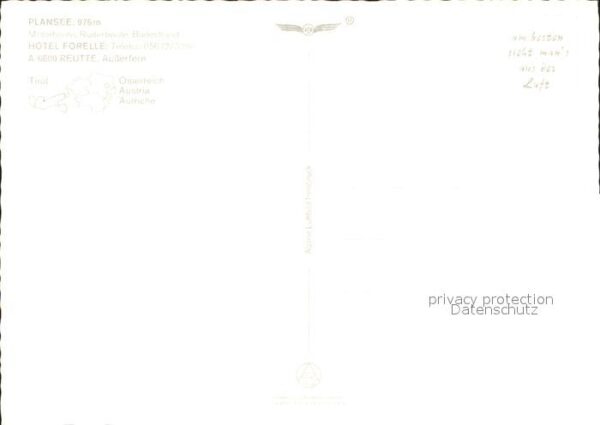 Reutte Tirol Plansee Hotel Forelle Badestrand Fliege – Bild 2