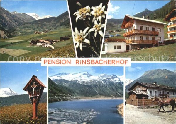 Lappach Muehlwald Pension Rinsbacherhof Edelweiss Wegkreu