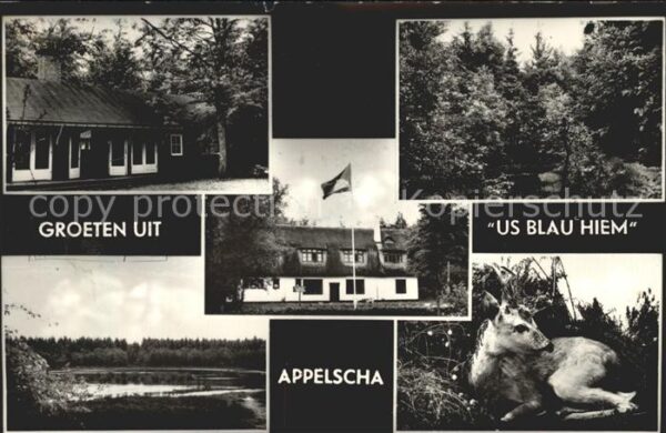 Appelscha Stichting Jeugdherberg Kamphuis Us Blau