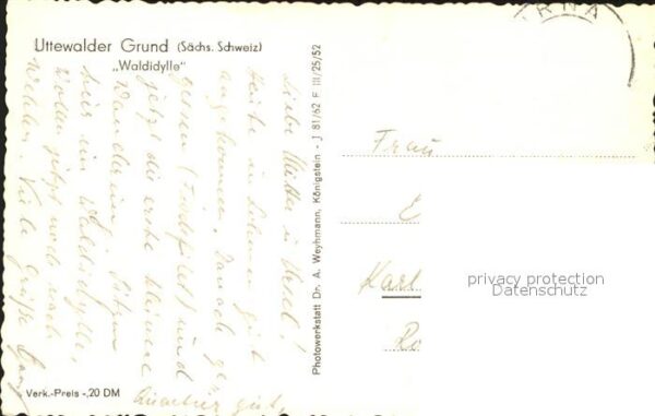 Uttewalder Grund Waldidylle – Bild 2