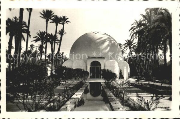 Elche Park