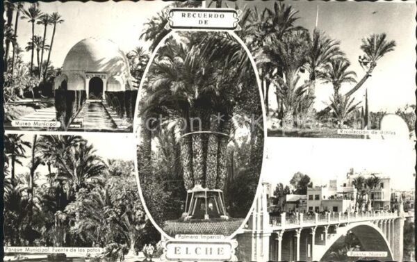 Elche Museo Municipal Parque Fuente los patos