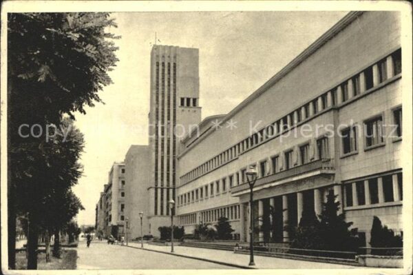 Novi Sad