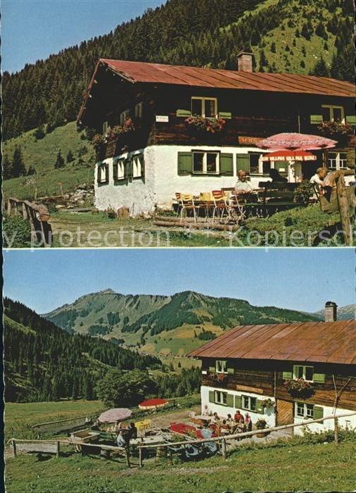 Wildental Wies Alpe