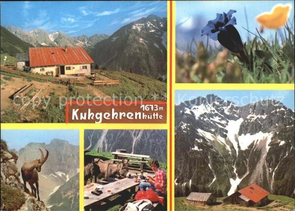 Hirschegg Kleinwalsertal Vorarlberg Kuhrehrenalpe Alpenflora Enzian Gemse A