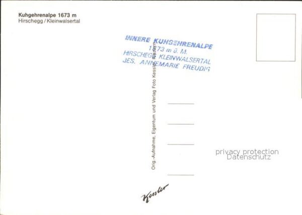 Hirschegg Kleinwalsertal Vorarlberg Kuhrehrenalpe Alpenflora Enzian Gemse A – Bild 2
