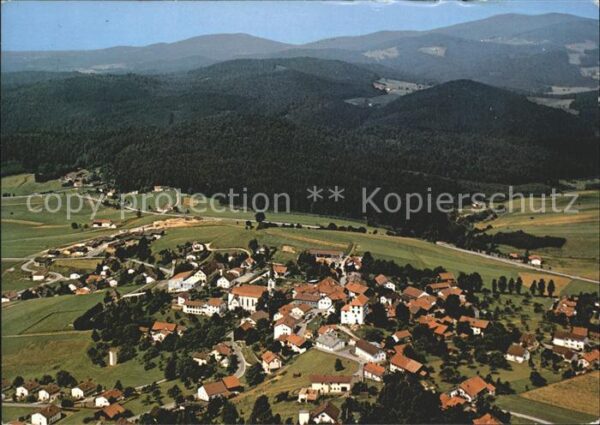 Haus Wald Nationalpark Bayerischer Wald Fliegerau