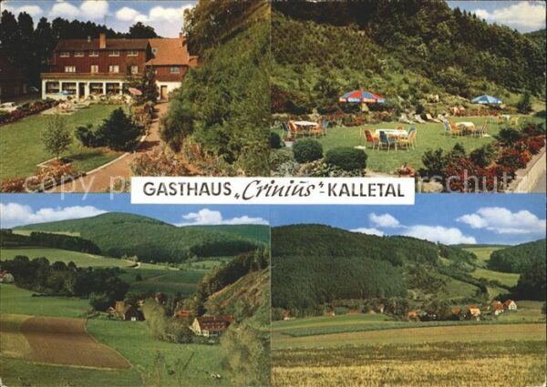 Heidelbeck Gasthaus Pension Crinius Liegewiese Pan