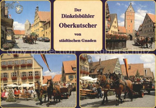 Dinkelsbuehl Dinkelsbühler Oberkutscher Pferdewagen