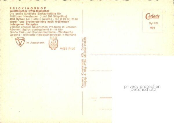 Sythen Prickingshof Westfälischer EWG Musterho – Bild 2