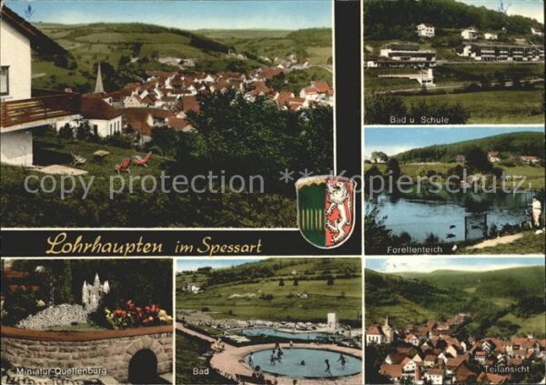 Lohrhaupten Bad Schule Forellenteich Miniatur Quell