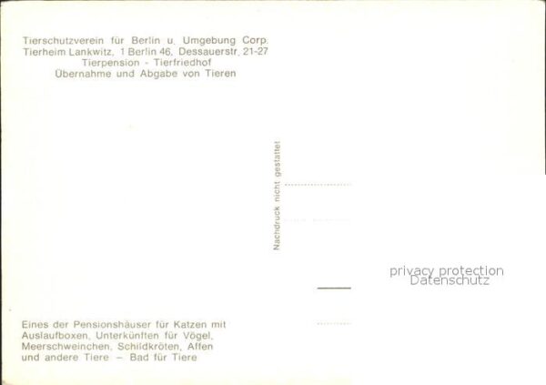 Lankwitz Tierpension Tierschutzverein für Berlin – Bild 2